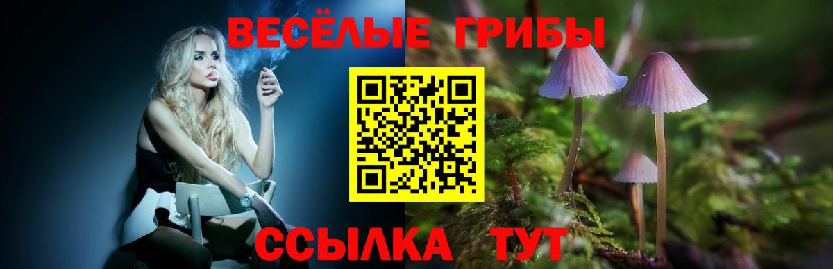 закладки  Псилоцибиновые грибы Psilocybine cubensis  Вход с VPN  Татарск  Псилоцибиновые грибы Psilocybe 
